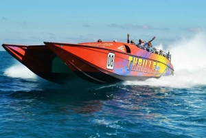 Passin Miami: 30+ attraktioner, eSIM och 1-vägs flygtransfer