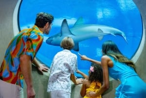 Passin Miami: 30+ attraktioner, eSIM och 1-vägs flygtransfer