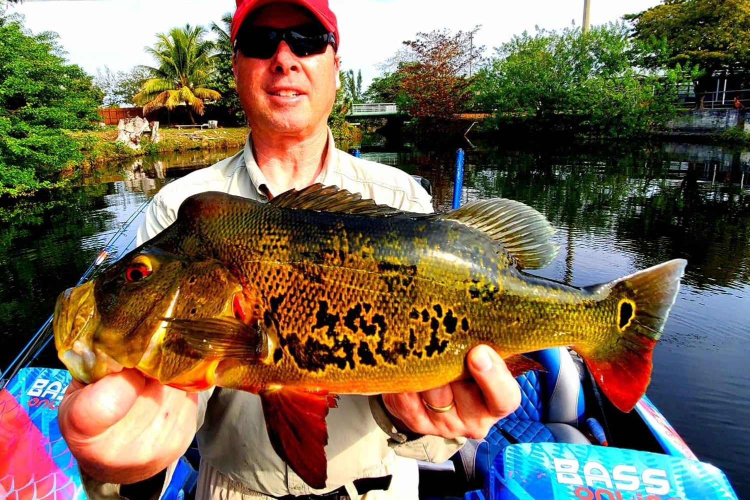 Excursiones de pesca de Peacock Bass cerca de Miami Florida