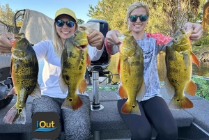 Excursions de pêche au Peacock Bass près de Miami (Floride)