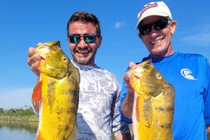 Gite di pesca al pavone vicino a Miami in Florida