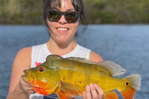 Excursions de pêche au Peacock Bass près de Miami (Floride)