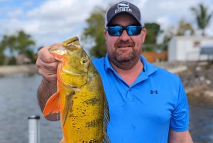 Excursions de pêche au Peacock Bass près de Miami (Floride)