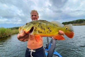 Excursiones de pesca de Peacock Bass cerca de Miami Florida