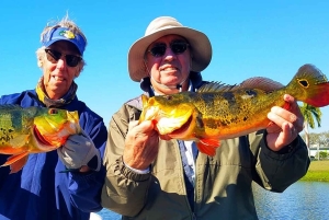 Excursiones de pesca de Peacock Bass cerca de Miami Florida