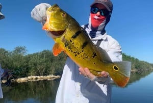 Excursiones de pesca de Peacock Bass cerca de Miami Florida