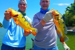 Excursiones de pesca de Peacock Bass cerca de Miami Florida