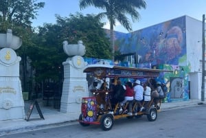 Pedal Pub Miami: ruta en bicicleta por los bares del distrito artístico
