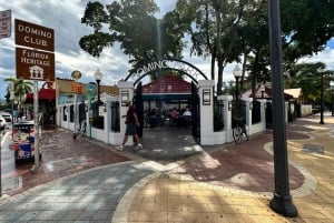 Miami: Tour panoramico privato e visita ai punti salienti della città