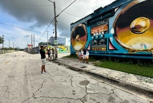 Miami Private City tour in brand new passenger van