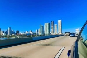 Privat SUV-tur genom staden Miami