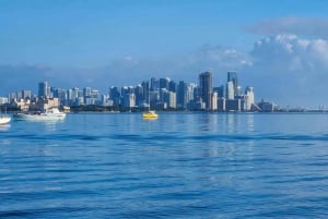 Private Sail Cruise around Miami waterfront