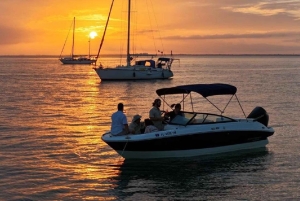 Crucero privado nocturno y al atardecer en Miami con vistas al skyline