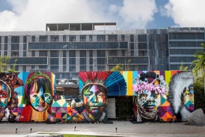 Private SUV Tour durch die Stadt Miami