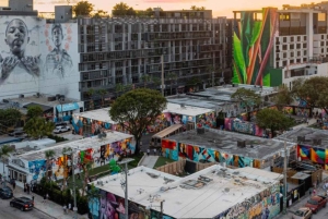 Private SUV Tour durch die Stadt Miami