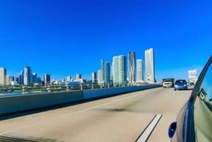 Private SUV Tour durch die Stadt Miami