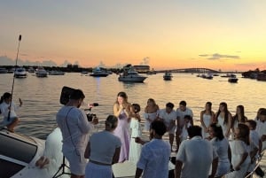 Private Yacht cruise, Biscayne Bay, Miami Beach. 52Ft