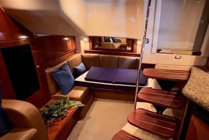 ⭐️⭐️⭐️⭐️⭐️ Private 🛥️ Yacht Rentals ⏰ 2h 🍾 Szampański prezent