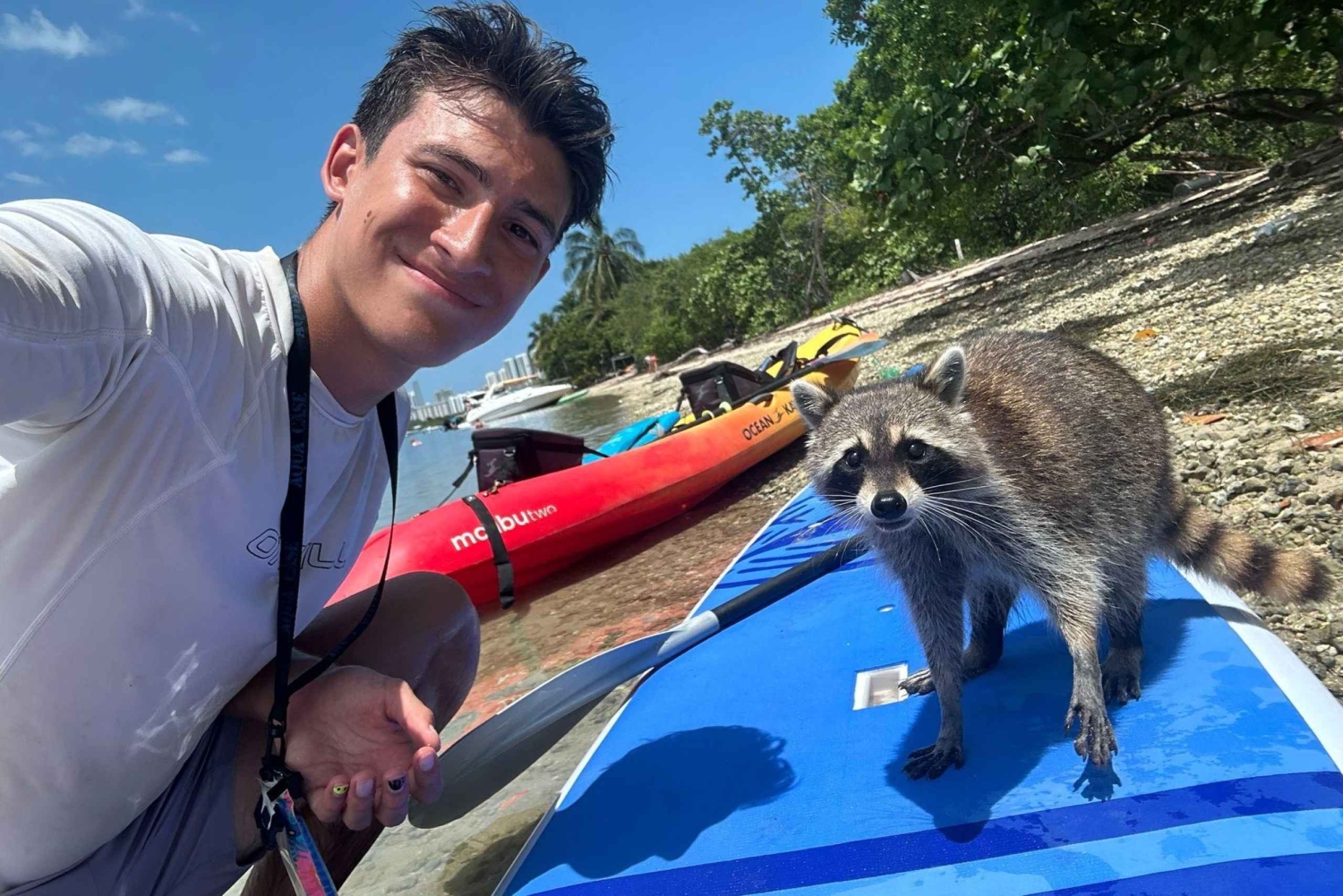 Raccoon Island: Utforskning på SUP/kajakk
