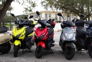 Concessionária de scooters em Miami - Wynwood