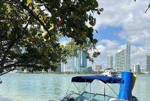 SEA MIAMI ON PARASTA!! 26' CROWNLINE 'GLORY DAZE' + 1 TUNTI ILMAISEKSI!