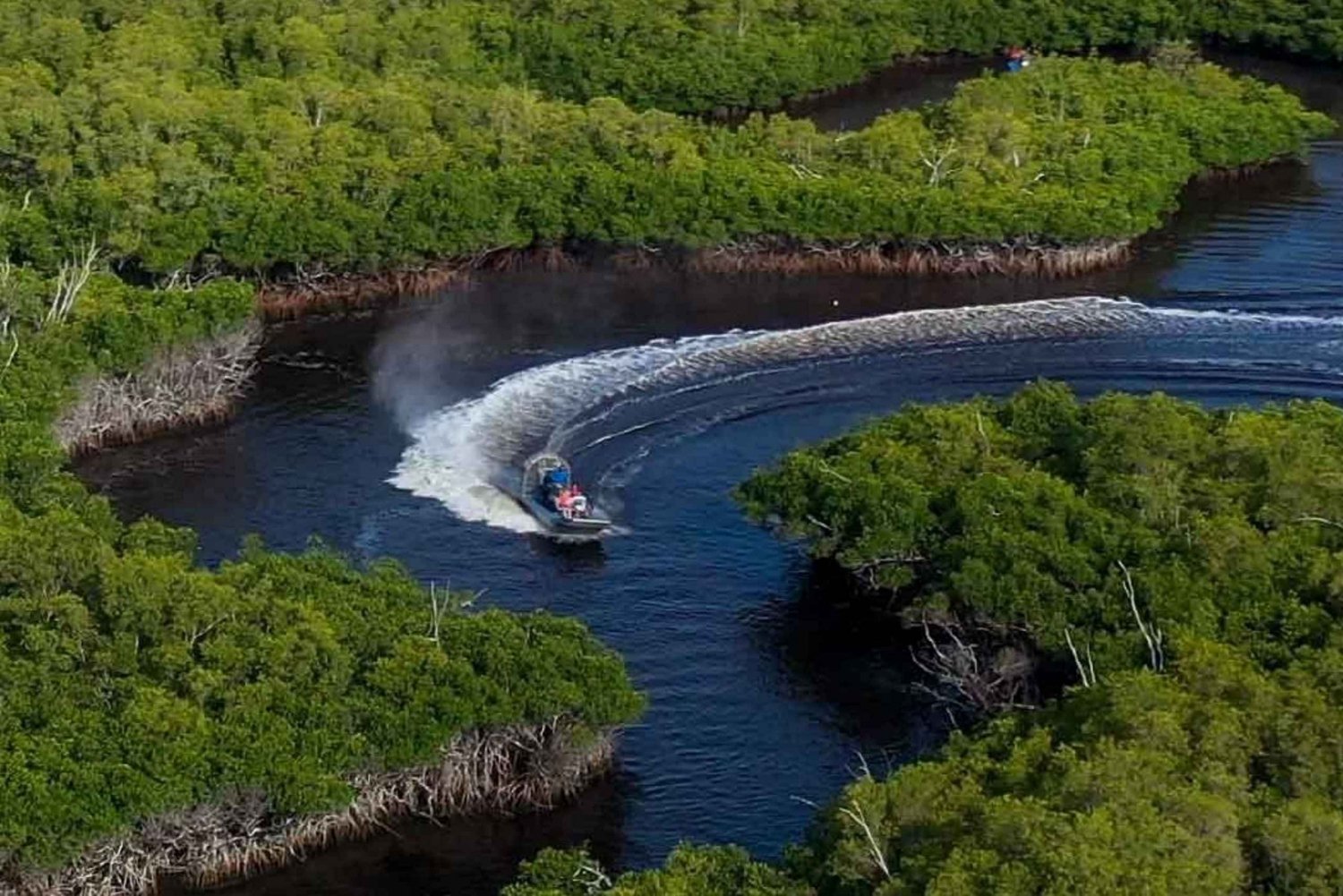 Halvprivat Everglades-tur fra Miami eller Fort Lauderdale