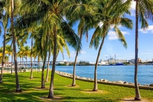 Excursion à terre depuis le port de Miami : visite de la ville et croisière commentée