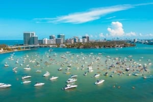 Excursión en tierra desde el puerto de Miami: tour de la ciudad y paseo en barco