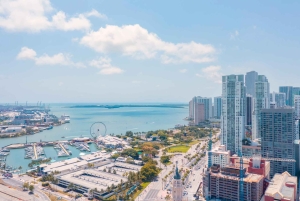 Excursión en tierra desde el puerto de Miami: tour de la ciudad y paseo en barco
