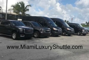 Transfer z lotniska/hotelu Miami do portu w Miami lub hotelu 14 osób