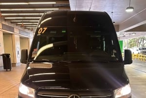 Transfer z lotniska/hotelu Miami do portu w Miami lub hotelu 14 osób