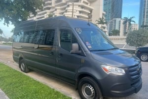 Transfer z lotniska/hotelu Miami do portu w Miami lub hotelu 14 osób
