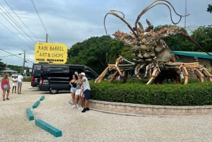 Shuttleservice för grupper och familjer i Miamis hamn