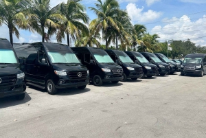 Servicio de transporte para grupos y familias en el Puerto de Miami