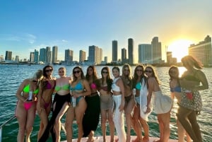 Miami Beach: Crucero turístico por la Bahía de Biscayne con parada para nadar