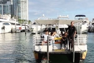 Sightseeing Cruise from Bayside Marketplace with Video