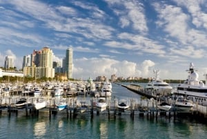 Tour en barco por el horizonte de Miami - Vistas de los muelles de la Bahía de Biscayne