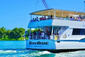 Miami Skyline Boat Tour – Waterfront Views on Biscayne Bay