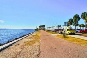 Tour per piccoli gruppi di Miami e del Parco Nazionale delle Everglades di 1 giorno