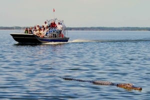 Miami: Everglades Airboat Tour, Wildlife Show, & Vervoer