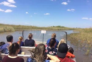 Miami: Everglades Airboat Tour, Wildlife Show, & Vervoer