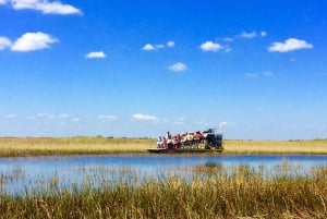 Miami: Everglades Airboat Tour, Wildlife Show, & Vervoer