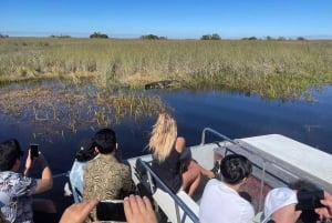 Miami: Everglades Airboat Tour, Wildlife Show, & Vervoer