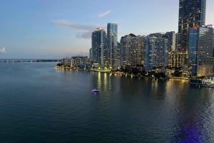 Miami - miljonärernas hem Sightseeingkryssning i South Beach Millionaire Homes