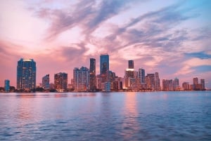 Miami : Croisière touristique dans les maisons des millionnaires de South Beach