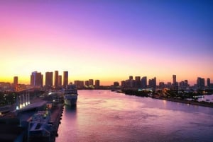 Crucero con champán por el horizonte de Miami