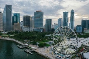 Crucero con champán por el horizonte de Miami