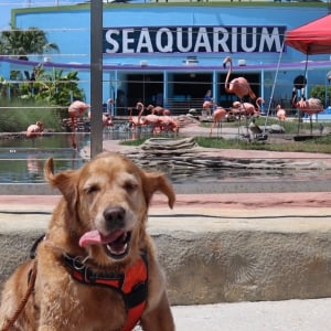 The Miami Sea Aquarium