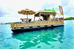 Tiki Cat Boat Tours with Biscayne Boat Charters & Yachts