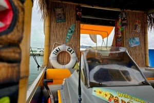 Экскурсии на лодках Tiki Cat с Biscayne Boat Charters & Yachts